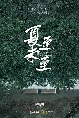 《夏至未至》影评：青春的疼痛与成长，一场关于遗憾的盛夏告别