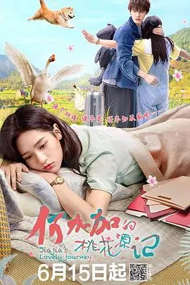 《何加加的桃花源记》：都市女孩的寻爱之旅，一场关于放下与成长的浪漫喜剧